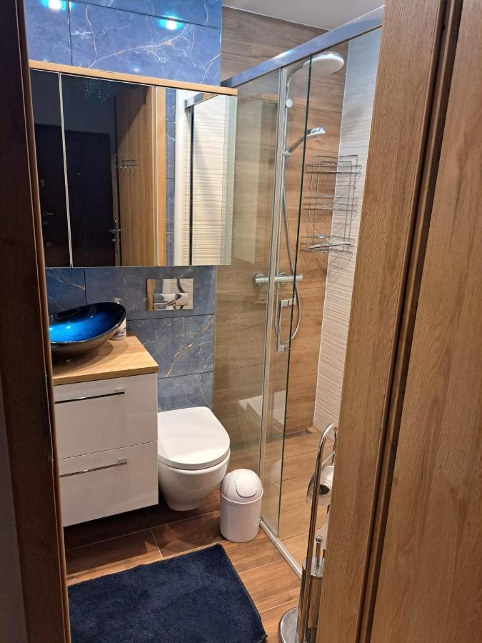 Apartament Karola Διαμέρισμα Puławy Εξωτερικό φωτογραφία